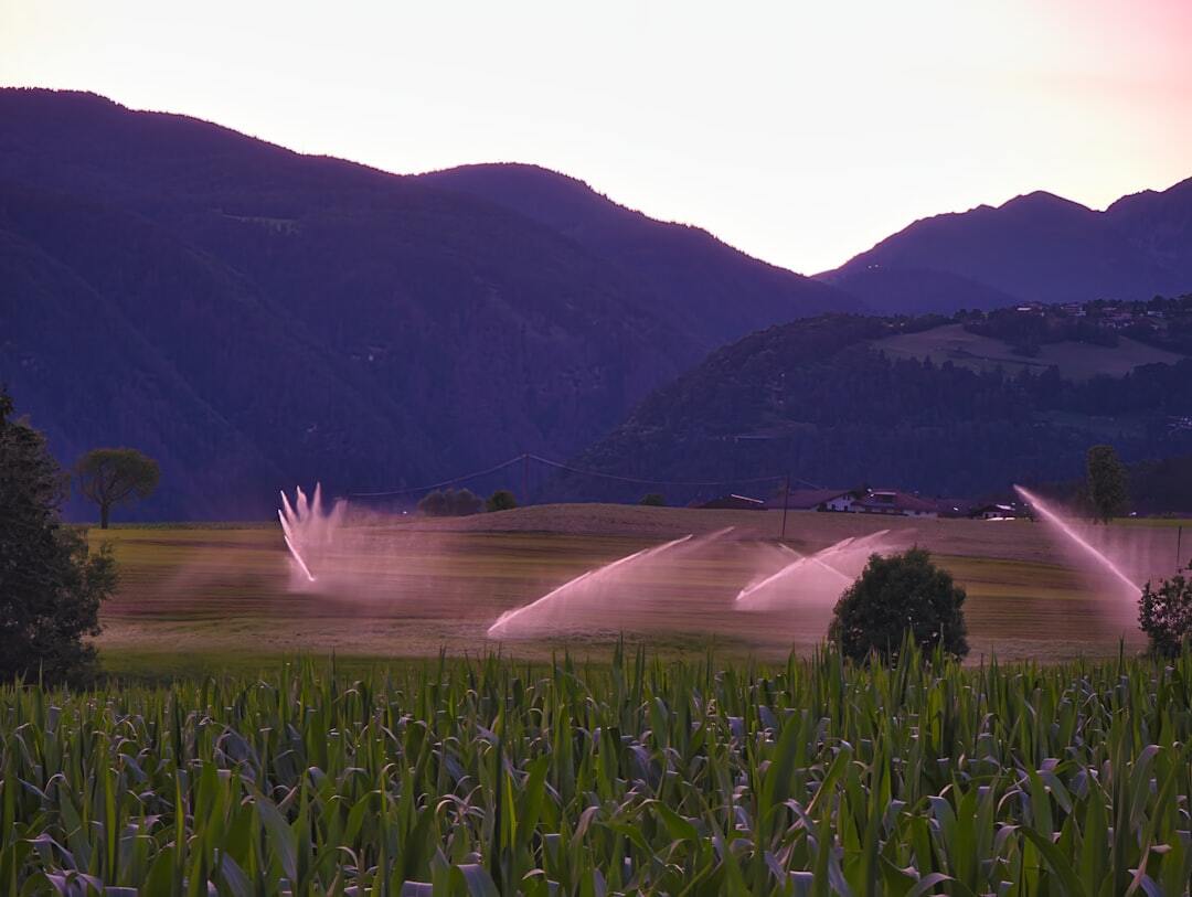 Irrigación y Agricultura